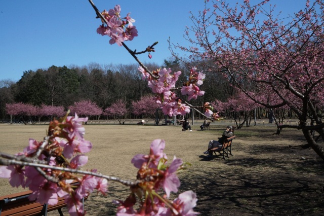 みずほの自然の森公園