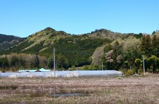 男抱山