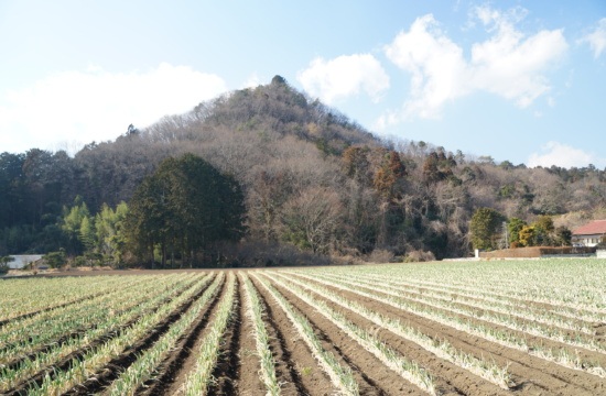 戸室山