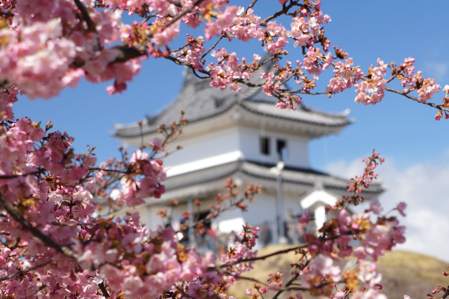 宇都宮城桜まつり