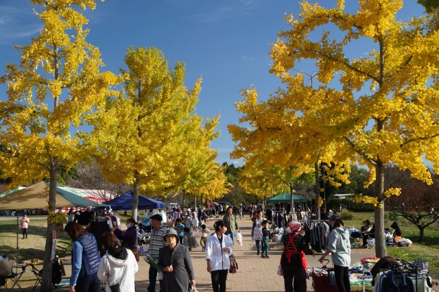 宇都宮市農林業祭