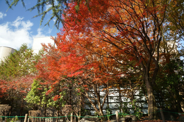 明保野公園