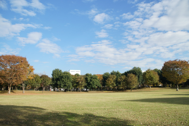 清原中央公園