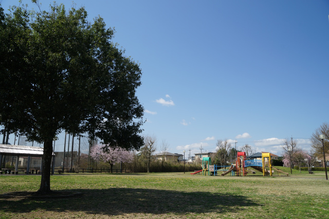 篠井ふれあい公園