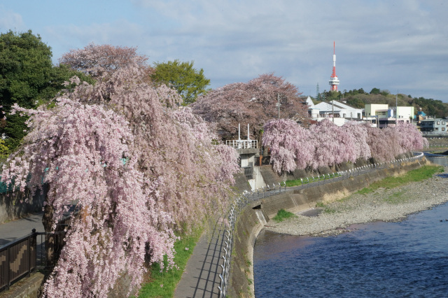 田川