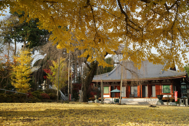 成願寺