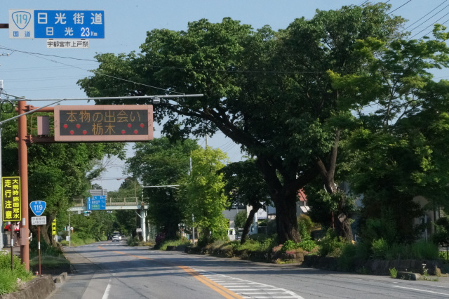 日光街道桜並木