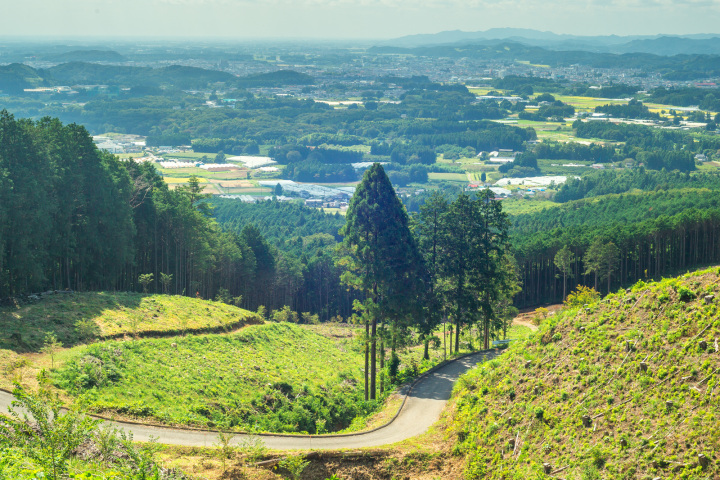 名山「古賀志山」ハイキング